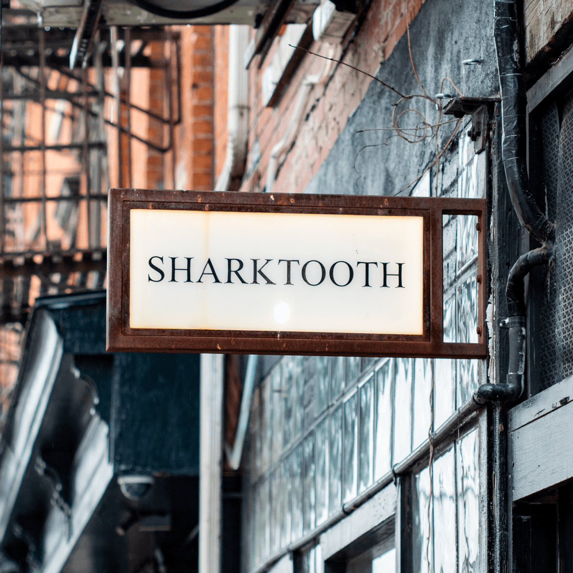 SHARKTOOTH sign - Design in Williamsburg, Brooklyn